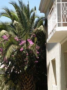 Casa Provence